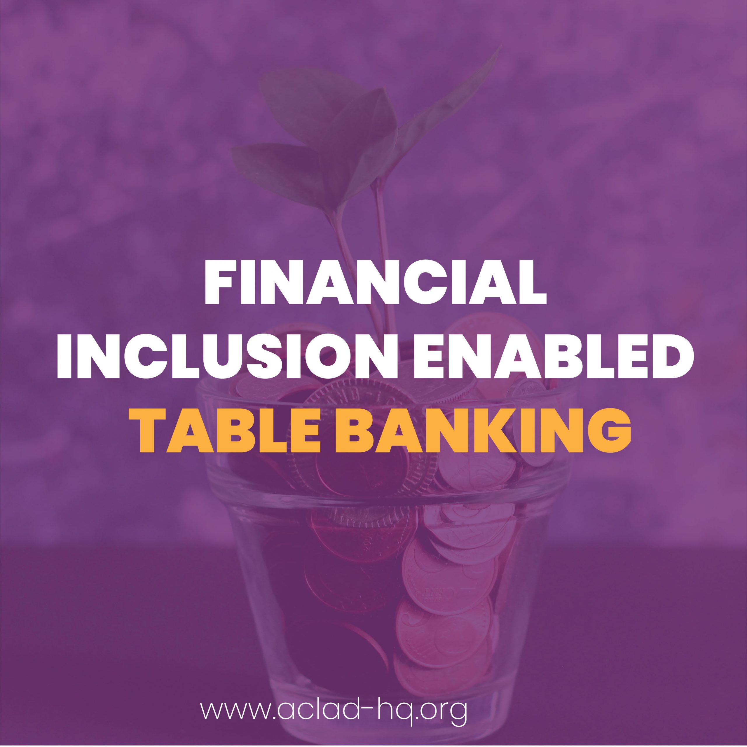 Financial inclusion enabled through table banking