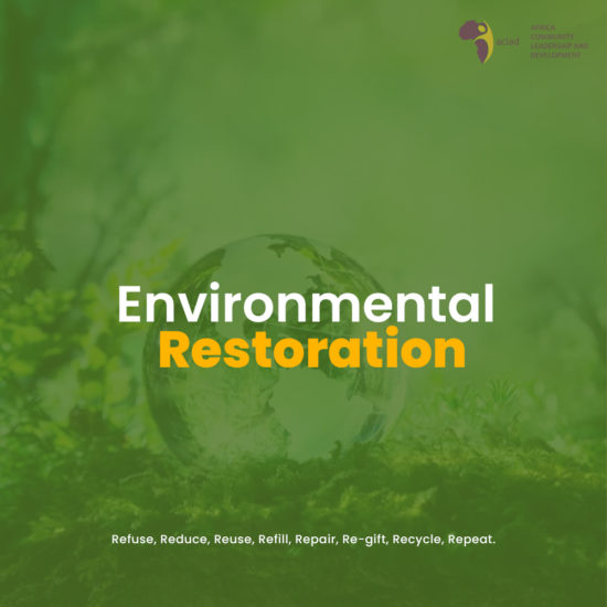 Project: Environmental Restoration