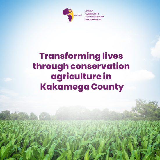 Transforming lives through conservation agriculture in Kakamega County